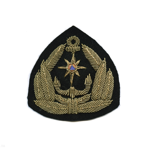 Кокарда канит. лат. ГИМС