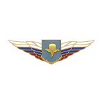 Значок мет. Должностной знак командира полка и ему равной воинской части (ВДВ) (№82)