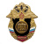 Значок мет. РВСН буквы (серия Россия)