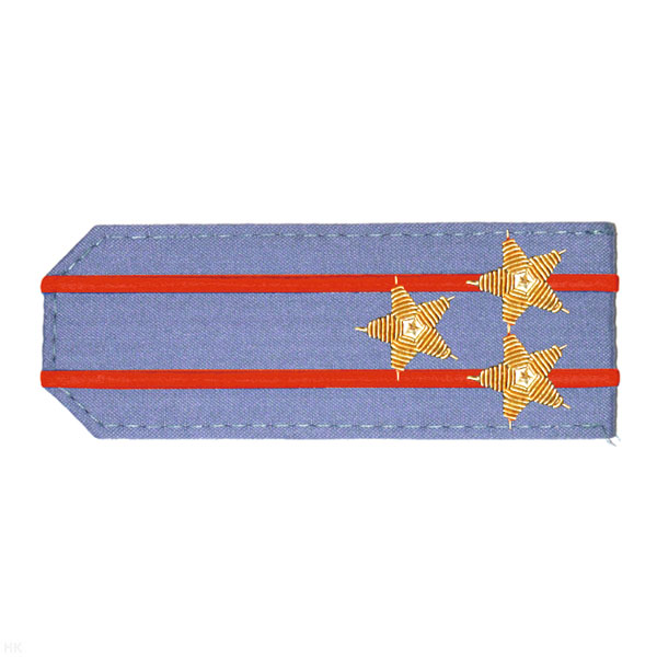 Погоны из рубаш. ткани серо-голуб. с вышит. 2 красн. просв., вышит. канителью (полковник)