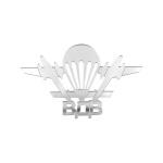 Магнит зеркальный ВДВ