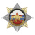Значок мет. Орден-звезда ВВ кулак с автоматом на звезде