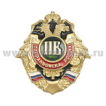Значок мет. ПВ России (орел с буквами ПВ)