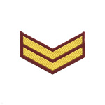 Курсовка пластизол. 2 курс (крапов.) галочка