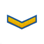 Курсовка вышит. 1 курс (голуб.)