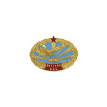 Значок мет. Ветеран ВВС