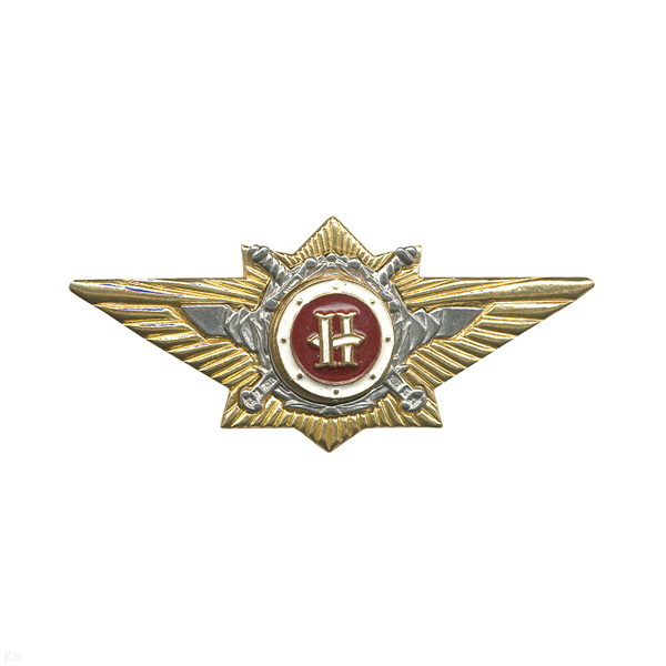Значок мет. Классность офиц. МВД наставник