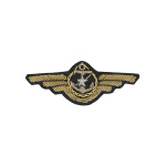 Нагрудный знак канит. лат. ВМФ (со звездой) для командного состава