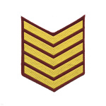 Курсовка пластизол. 5 курс (крапов.) галочка