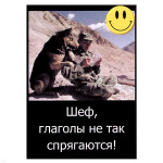 Магнит виниловый (гибкий) со смайликом Шеф, глаголы не так спрягаются!