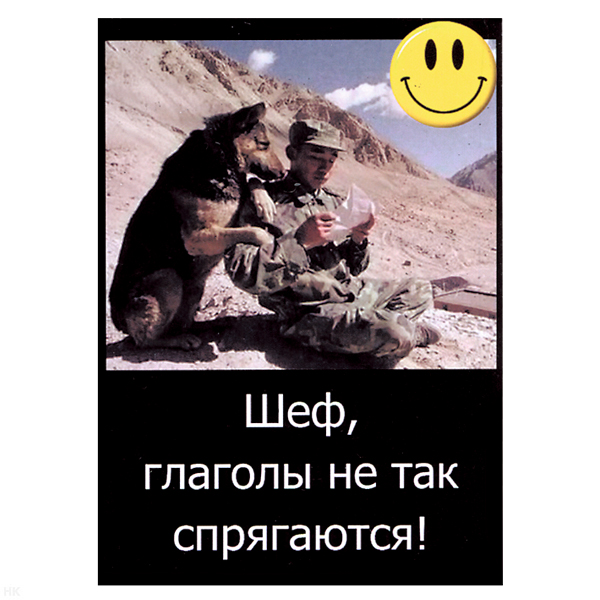 Магнит виниловый (гибкий) со смайликом Шеф, глаголы не так спрягаются!