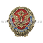 Значок мет. ФСИН (овал с накладкой, латунь, хол.эм.) на "усах"
