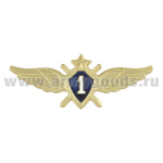 Значок мет. Классность ВВС нов/обр 1 класс