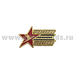 Значок мет. Участник шествия