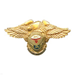 Значок мет. 76 гв. ВДД (серия ВДВ (америк. орел зол.)