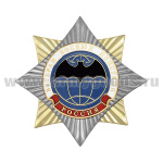 Значок мет. Орден-звезда Ветеран боевых действий (лет. мышь)