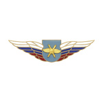 Значок мет. Должностной знак командира отдельного батальона (ВКС) (№51)