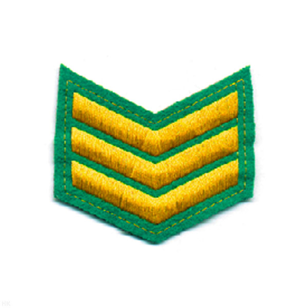 Курсовка вышит. 3 курс (зел.)