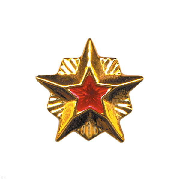 Звезда на погоны пласт. 20 мм Гос. инсп. по карантину растений (зол. с красн. краской)