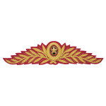 Кокарда канит. (золото 3%) ВС генеральская с 2010 г. (красный фон)