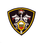 Шеврон пластизолевый 25 (ВВ: кулак с автоматом, меч и 2 волка)
